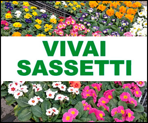 VIVAI SASSETTI